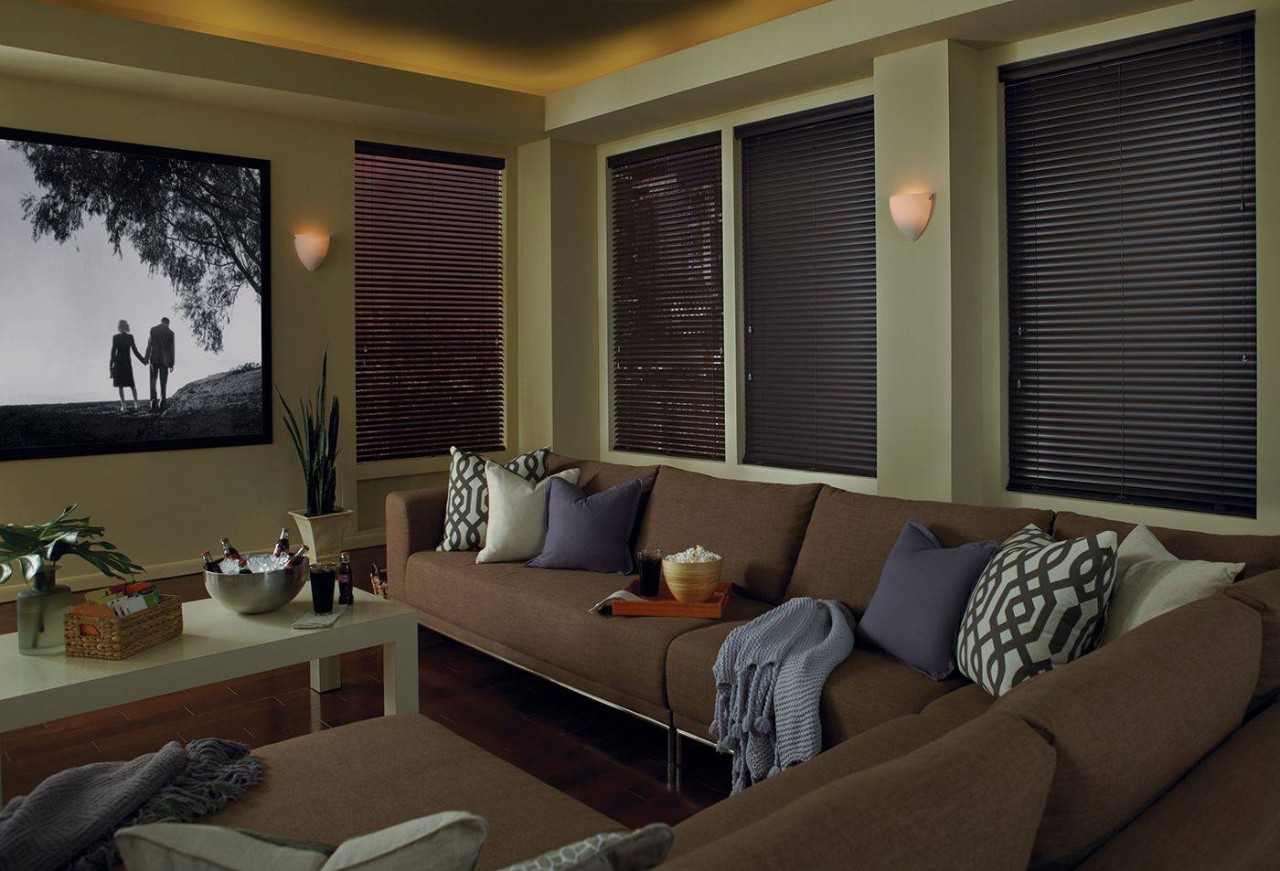 Living Room with Hunter Douglas Modern Precious Metals® Mini Blinds near Spokane, WA